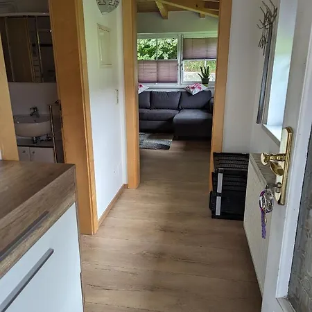 Trixi Daire Hollersbach im Pinzgau